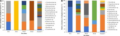 Prospecting Endophytic Bacteria Endowed With Plant Growth Promoting Potential Isolated From Camellia sinensis